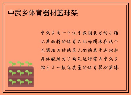 中武乡体育器材篮球架