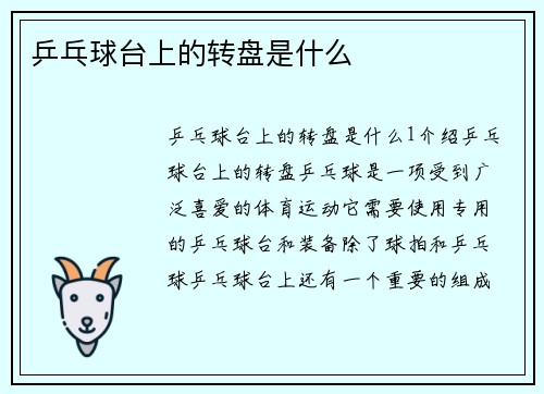 乒乓球台上的转盘是什么