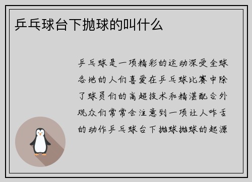 乒乓球台下抛球的叫什么