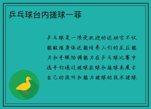 乒乓球台内搓球一菲