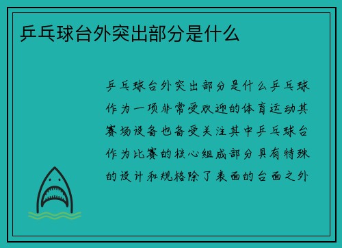 乒乓球台外突出部分是什么