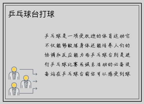 乒乓球台打球