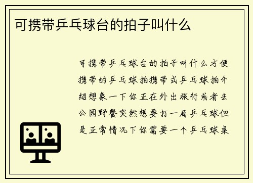可携带乒乓球台的拍子叫什么